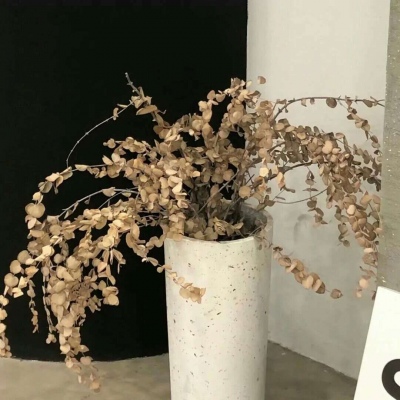 Furry插画人物结合FurryQQ群